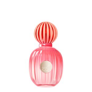 THE ICON SPLENDID EDP 50ML 