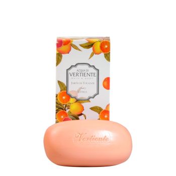 JABON DE TOCADOR CITRUS 100G