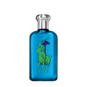 POLO BIG PONY BLUE EDT 100ML 
