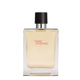 TERRE D'HERMES EDT 100ML
