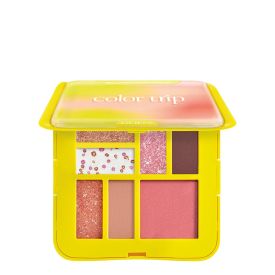 COLOR TRIP EYE & FACE PALETTE 001 PRETTY TRIP