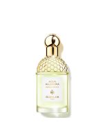 AQUA ALLEGORIA NEROLIA VETIVER EDT