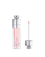ADDICT LIP MAXIMIZER 001 PINK - SHEER