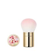 METEORITES POWDER BRUSH