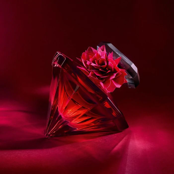 Ysl la nuit store tresor