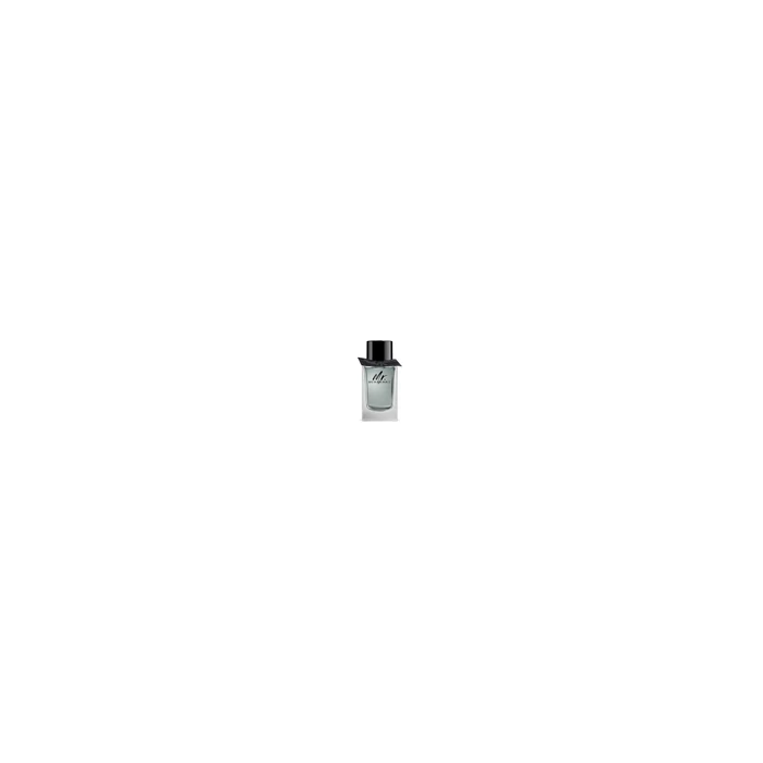 Parfumerie MR BURBERRY EDT